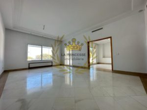 grand salon lumineux